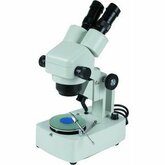 Gem Zoom Microscope (10X to 40X), 110V
