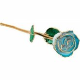 Lacquered Cream Turquoise Rose with Gold Trim