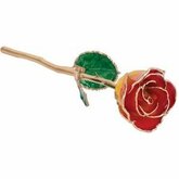 Lacquered Sunset Yellow & Red Rose with Gold Trim