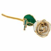 Lacquered Pearl Colored Rose with Gold Trim